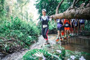 BIB: 
                            <button type="button" onclick="openModal(25465615)" class="btn btn-primary btn-sm float-right btn-popup" data-toggle="modal" data-target=".modal-high-quality">
                        <i class="fas fa-shopping-cart"></i> Add to Cart
                    </button>
                                            <button type="button" onclick="isThisMe(25465615, true)" class="btn btn-success btn-sm float-right btn-popup btn-isme hidden" data-toggle="tooltip" data-placement="bottom" title="นี่คือรูปของคุณใช่ไหม คลิกที่นี่เพื่อเอาเข้าอัลบั้ม">
                        <i class="fas fa-plus"></i> Add to album
                    </button>
                    <button type="button" onclick="isThisMe(25465615, false)" class="btn btn-warning btn-sm float-right btn-popup btn-isnotme hidden">
                        <i class="fas fa-ban"></i> Remove from album
                    </button>